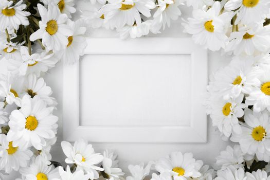 top view frame surrounded by daisies. High resolution photo