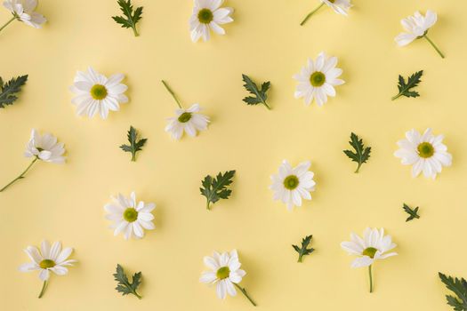top view blooming flowers. High resolution photo