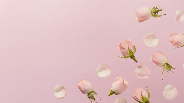 flat lay pink spring roses with . High resolution photo