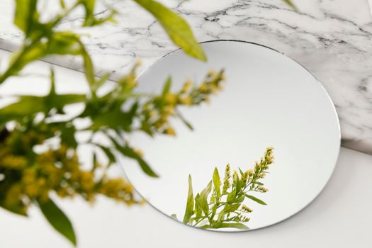foliage mirroring mirror. High resolution photo