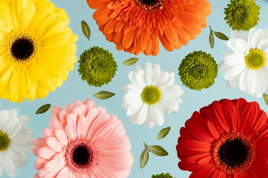 top view spring daisies gerberas. High resolution photo