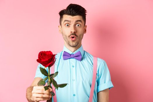 Valentines day and romance concept. Cute man in bow-tie giving red rose to you and looking with sympathy, standing on romantic pink background.