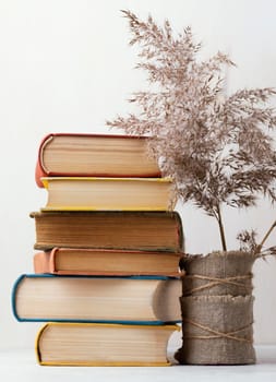 front view stack books with vase flowers. High resolution photo