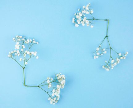 small white gypsophila blue background. High resolution photo