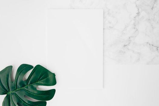 elevated view green monstera leaf white blank card desk. High resolution photo