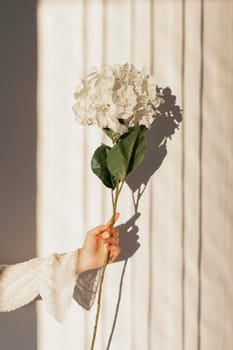 hand holding natural flowers. High resolution photo