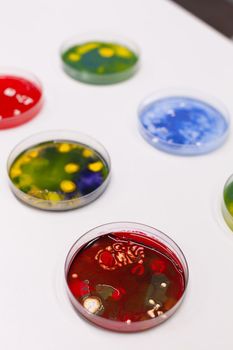 Petri dish with colony of microorganism standing on table in pharmaceutical microbiology hospital laboratory. Scientific biological bacteria liquid sample. Medical bacteriology experiment