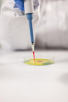 Close up of scientist dropping blood sample using micropipette dressed in ppe suit. Chemist in coverall working with various bacteria, tissue for antibiotics research.