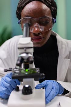 African biologist researcher analyzing gmo green leaf using medical microscope. Chemist scientist examining organic agriculture plants in microbiology scientific laboratory.