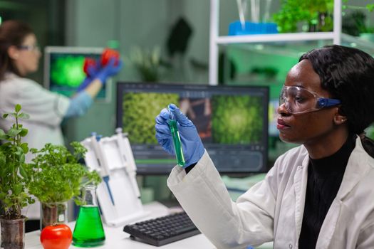 African reseacher looking at test tube with green dna of sapling analyzing genetic mutation modified for microbiology experiment. Scientist working in agriculture laboratory developing eco environment.