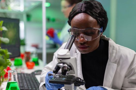 Biologist researcher examining organic leaf slide for medical expertise under microscope. Chemist scientist analyzing organic agriculture plants in microbiology scientific laboratory.