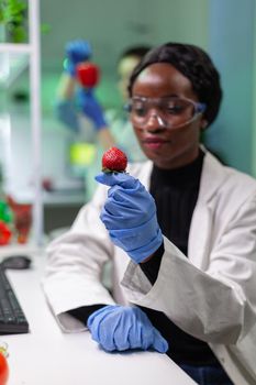 Chemist scientist looking at strawberry with organic liquid examining dna test of fruits for botany experiment. Biochemist working in pharmaceutical laboratory testing health food for medical expertise.