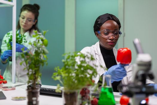 Chemist holding analyzing pepper with pesticides writing pharmaceutical medical expertise on notepad. Biochemist scientist working in biotechnology organic laboratory analyzing chemistry experiment.