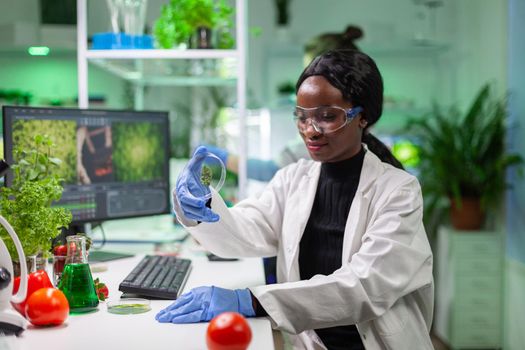 Close up of african scientist looking at petri dish with green leaf examining plant expertise. In background her collegue analyzing dna sample working in biochemistry laboratory.