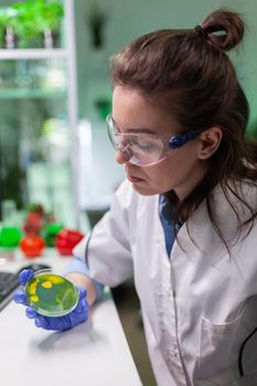 Pharmaceutical researcher analyzing solution test from petri dish for developing medical expertise. Biologist researcher typing microbiology process on computer working in chemical laboratory.