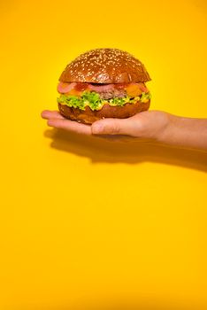 hand holding classic beef burger with lettuce. High resolution photo