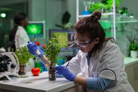 Biochemist scientific taking green liquid with micropieptte puttin on sapling observing genetic mutation typing biochemistry expertise on computer. Biologist woman working in biochemistry laboratory.