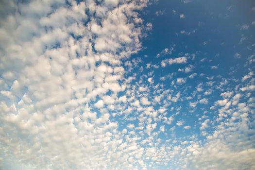 Beautiful blue sky with white cirrus clouds. Sky panorama for screensavers, postcards, calendar, presentations. Low point at wide angle. Warm spring or summer evening.