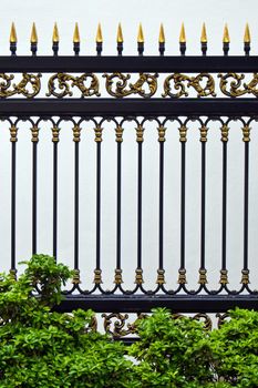 Beauty patterned of alloys metal fence and Ornamental plants