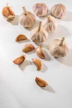 Garlics on white background, spice herb and food ingredient