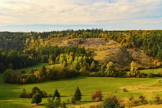 Autumn landscape. Beautiful colorful leaves in nature with the sun. Seasonal concept outdoors in autumn park.