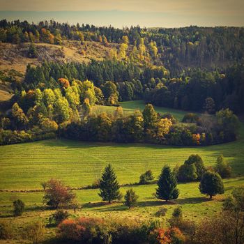 Autumn landscape. Beautiful colorful leaves in nature with the sun. Seasonal concept outdoors in autumn park.