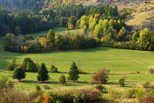 Autumn landscape. Beautiful colorful leaves in nature with the sun. Seasonal concept outdoors in autumn park.