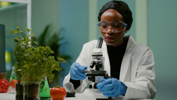 Portrait of pharmaceutical woman putting slide under microscope examining biological sample for medical experiment. Biologist analyzing organic agriculture plants in microbiology scientific laboratory