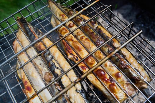 Barbecue of fish in nature in summer close-up photo