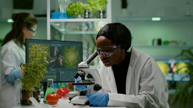 Slide view of biologist researcher analyzing gmo green leaf using medical microscope. Chemist scientist examining organic agriculture plants in microbiology scientific laboratory