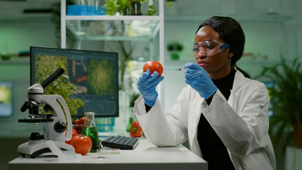 African biochemist with medical gloves injecting organic tomato with pesticides for gmo test genetic analyzing medical expertise. Biochemist working in farming laboratory testing health food