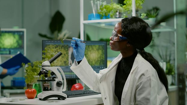 Pharmaceutical woman looking at organic leaf sample observing genetic mutations. Chemist scientist examining organic agriculture plants in microbiology scientific laboratory