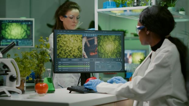 Scientist woman typing microbiology expertise on computer for scientific agriculture experiment. Medical team working with vegetables and fruit discovering genetic mutation in farming laboratory