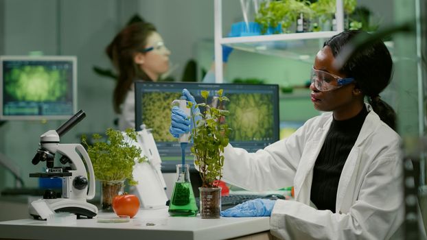 Biologist scientist talking solution from medical flask putting on green sapling for genetic experiment. womanresearcher in white coat working in professional microbiology laboratory