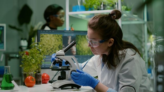 Scientist researcher examining genetically modified green leaf under microscope. Biologist engineering observing organic gmo plants while examining in microbiology food laboratory