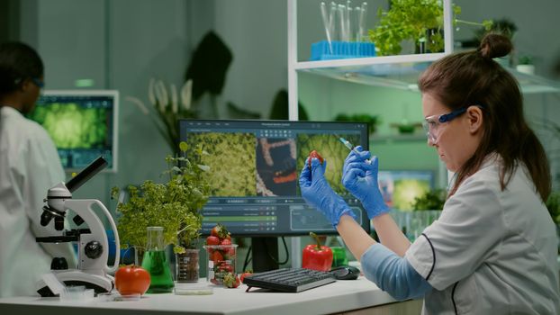 Scientist injecting strawberry with pesticides discovery genetic mutation of fruits for organic experiment. Biochemist working in pharmaceutical laboratory testing health food for medical expertise