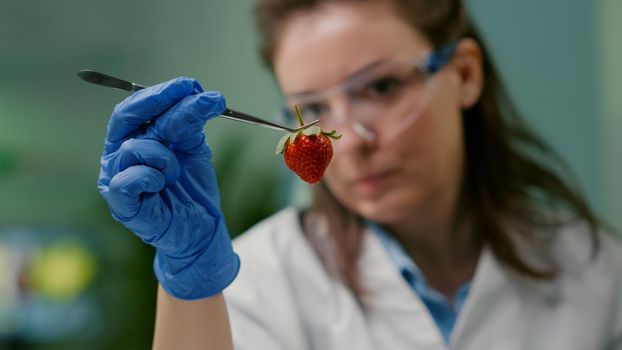 Close up of scientist woman looking at organic strawberry using medical tweezers for fruits biology experiment. Biochemist examining organic food typing medical expertise information on computer