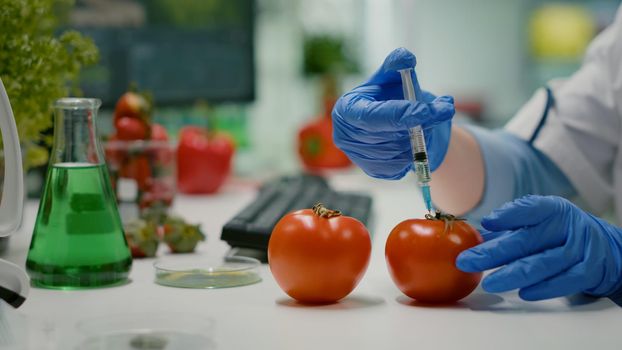 Closeup of scientist injectinging tomato with genetic liquid using medical syringe for microbiology experiment. Biochemist working in pharmaceutical laboratory discovery genetic mutation of vegetables