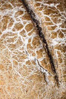 Background of freshly baked loaf of rye bread