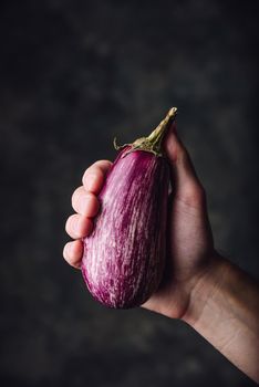 Fresh purple eggplant in hand on dark background