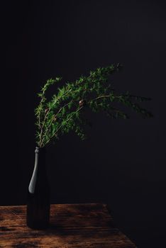 Fresh green branch of larch in glass bottle on rustic wooden table