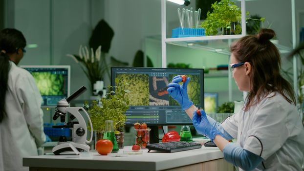 Scientist researcher injecting strawberry with pesticides while working in biological laboratory. Biochemist examining organic fruits typing medical expertise information on computer