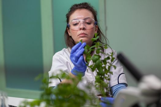 Botanist researcher woman examining green sapling observing genetic mutation analyzing organic plants for agriculture experiment. Chemist working in biological pharmaceutical laboratory.