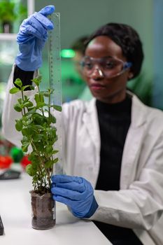 African researcher measure sapling for botany experiment working in biological laboratory. Biochemist scientist examining organic plants typing expertise information on computer.