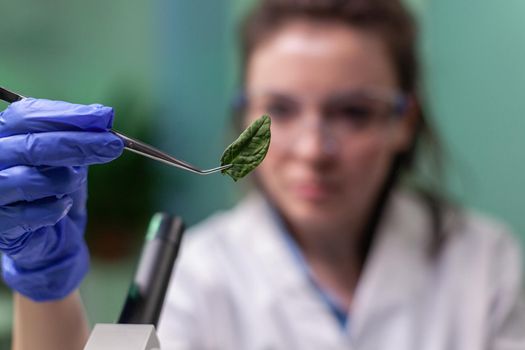 Scientist researcher examining genetically modified green leaf under microscope. Biologist engineering observing organic gmo plants while examining in microbiology food laboratory.
