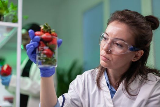 Researcher holding glas with strawberry injected with pesticides discovering genetic mutation on computer after medical expertise. Medical team working researcing gmo fruits in farming lab.