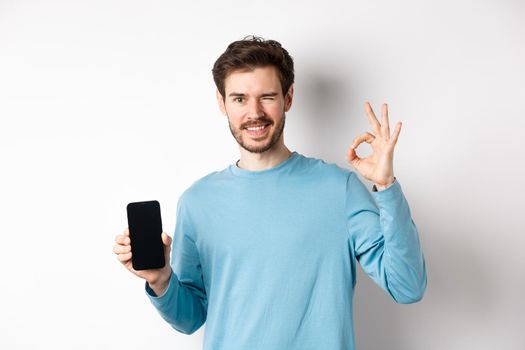 E-commerce and shopping concept. Smiling guy wink and show okay sign with empty smartphone screen, recommending online offer, standing on white background.