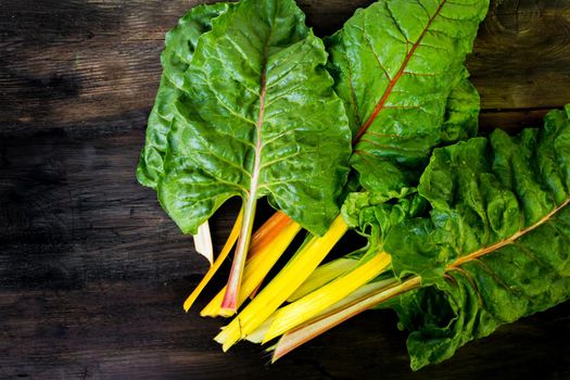 colorful assorted chard leaves from the organic garden