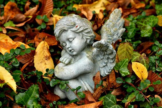 sweet sleeping angel figure on a grave in autumn with fallen leaves