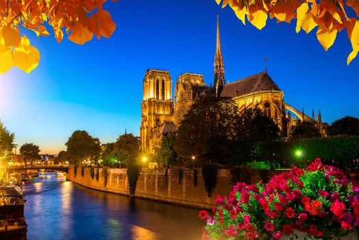 Notre Dame de Paris and river Seine